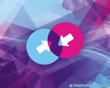 EL MÉTODO PARA MEJORAR EL ÁREA DE INTERCAMBIO EN DEEPIN OS (SWAP) EL MÉTODO PARA MEJORAR EL ÁREA DE INTERCAMBIO EN DEEPIN OS (SWAP)