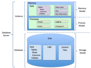 Estructura del sistema de gestión de base de datos