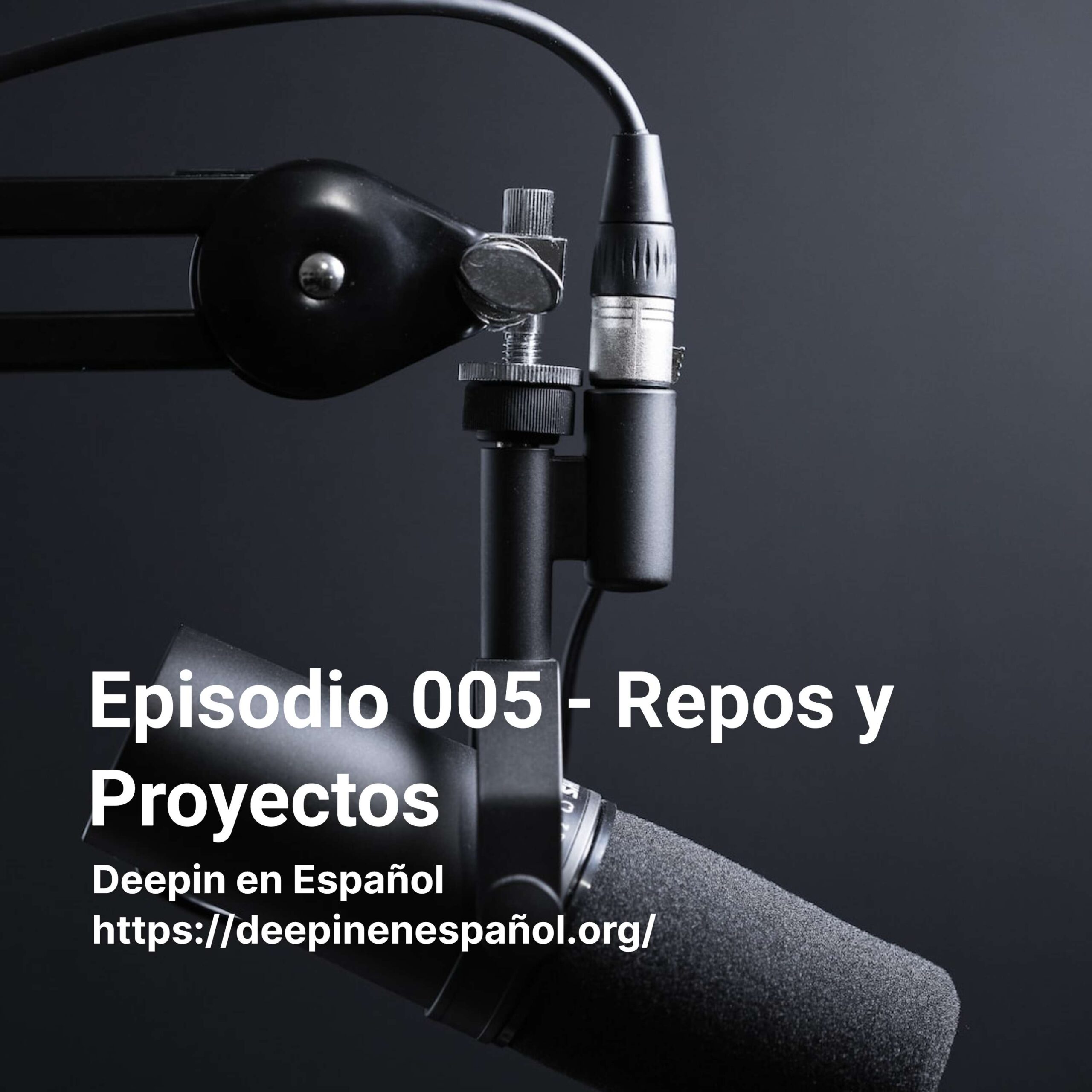 Deepin en Español