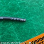 tonatiume