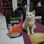 Oansyah