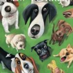 Revistas en Ingles